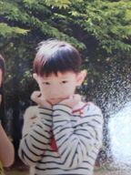 배다빈