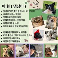 이현 반려동물 훈련사