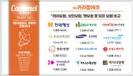 석한승 보험전문가