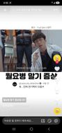 영원히잔잔한동백나무