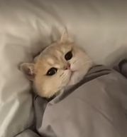 제일성실하게잘끄야