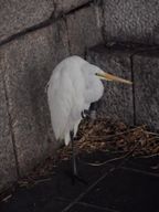 내집마련을꿈꾸며