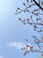 살짝쿵당당함이넘치는