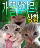 나도나를몰라