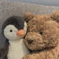 양치하는 곰돌이