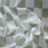 쭈꾸미 오징징어