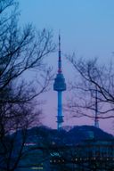 내일도환영받는고등어