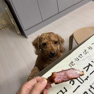 칸쵸야사랑해보고싶어