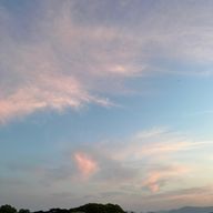 거대한바다사자95