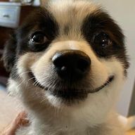 이자벨