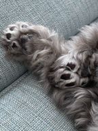 대한민국아줌마