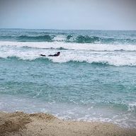 섹시한파리매191