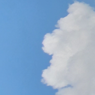 영리한태양새56