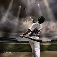 기특한가마우지31