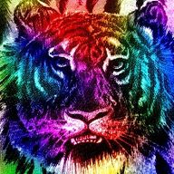 러블리한스컹크259