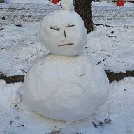 기민한페리카나17