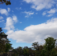 흡족한할미새283