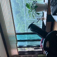 호화로운멧새205