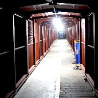 현명한이구아나273