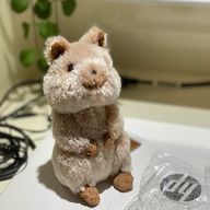 예리한원숭이64