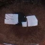 똘똘한노린재133