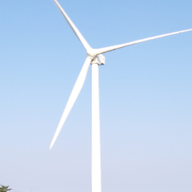 철저한코알라59