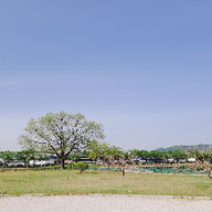 영원한뱀눈새27