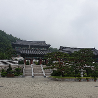 훈훈한향고래150