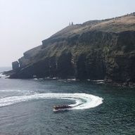 독특한굴뚝새107