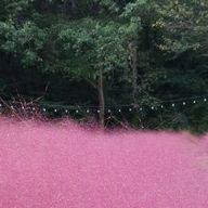 빼어난원숭이128