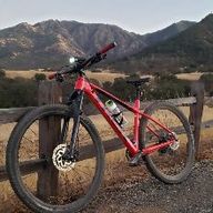 강직한두꺼비28