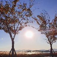 멋쩍은쌍봉낙타139