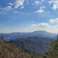 기막힌왈라비242