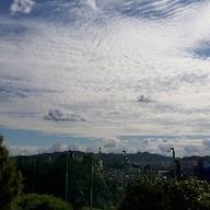 털털한거북이140