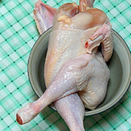 정겨운검은꼬리128