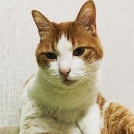 순박한달팽이53