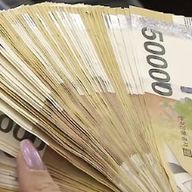 단아한말똥구리39