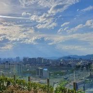 우람한관박쥐136