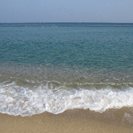 고운검은꼬리46