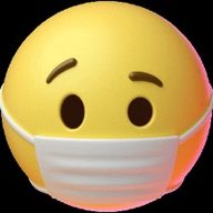 올곧은굴뚝새37