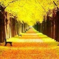 끈질긴캥거루153