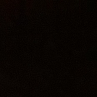 보랏빛딱따구리34