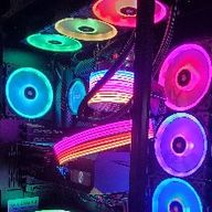 멋쩍은고릴라157