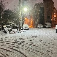 은혜로운사자279