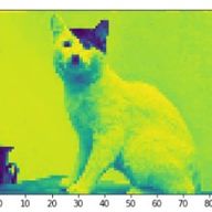 존재가불분명함