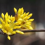 매너있는여새10