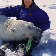 근면한천인조173