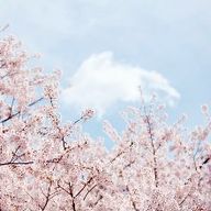 유연한칠면조182