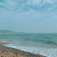 숙련된갈매기282