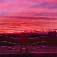 로맨틱한긴꼬리13